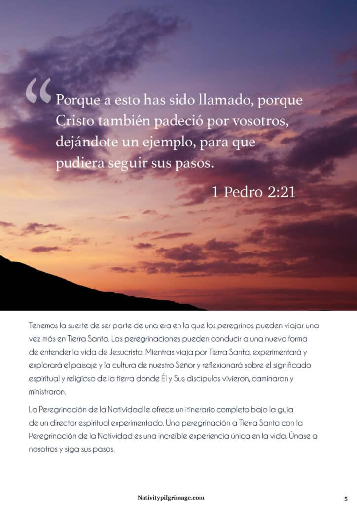 https://www.nativitypilgrimage.com/wp-content/uploads/2023/07/2024-Nativity-Pilgrimage-Magazine-Spanish5-724x1024.jpg