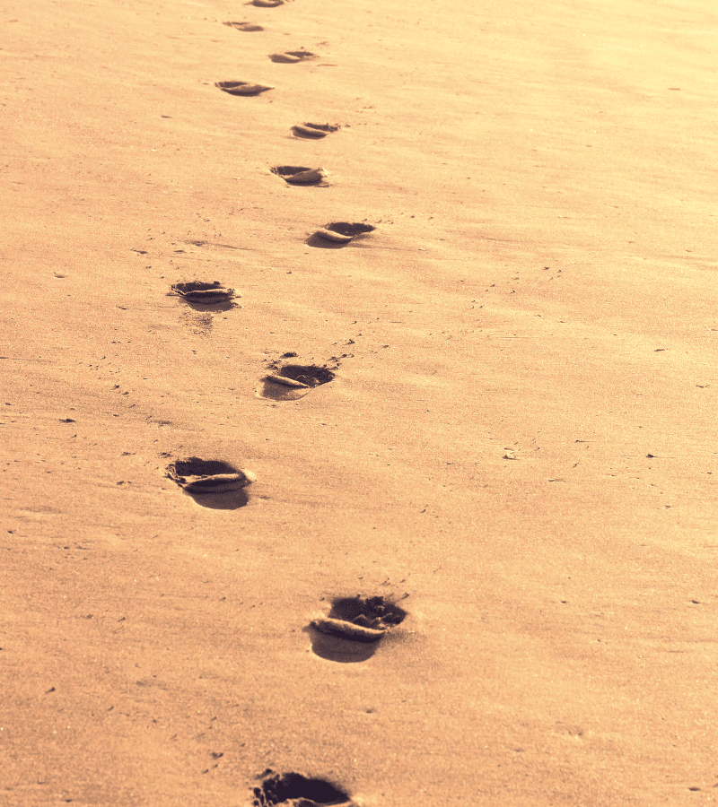 Pasos Footsteps