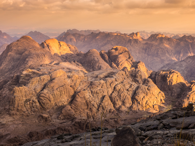 Mt. Sinai