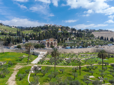 Mt. Of Olives, Jerusalem