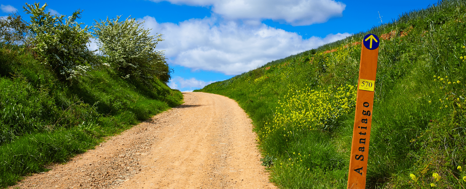 Camino de Santiago, "The Way of St. James"