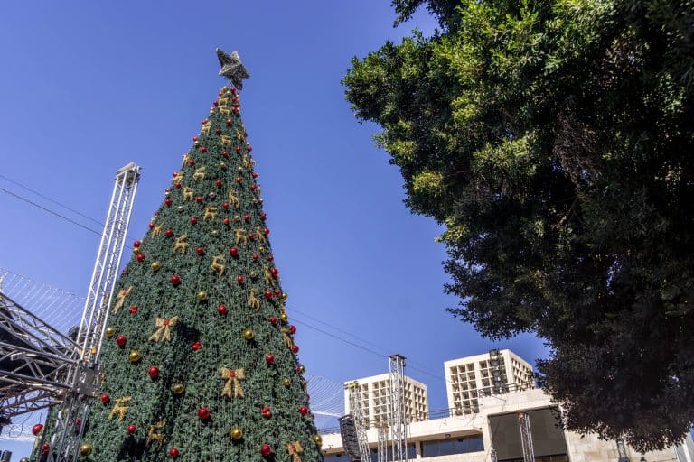 Christmas Tree in Manger Square, Bethlehem, Palestine