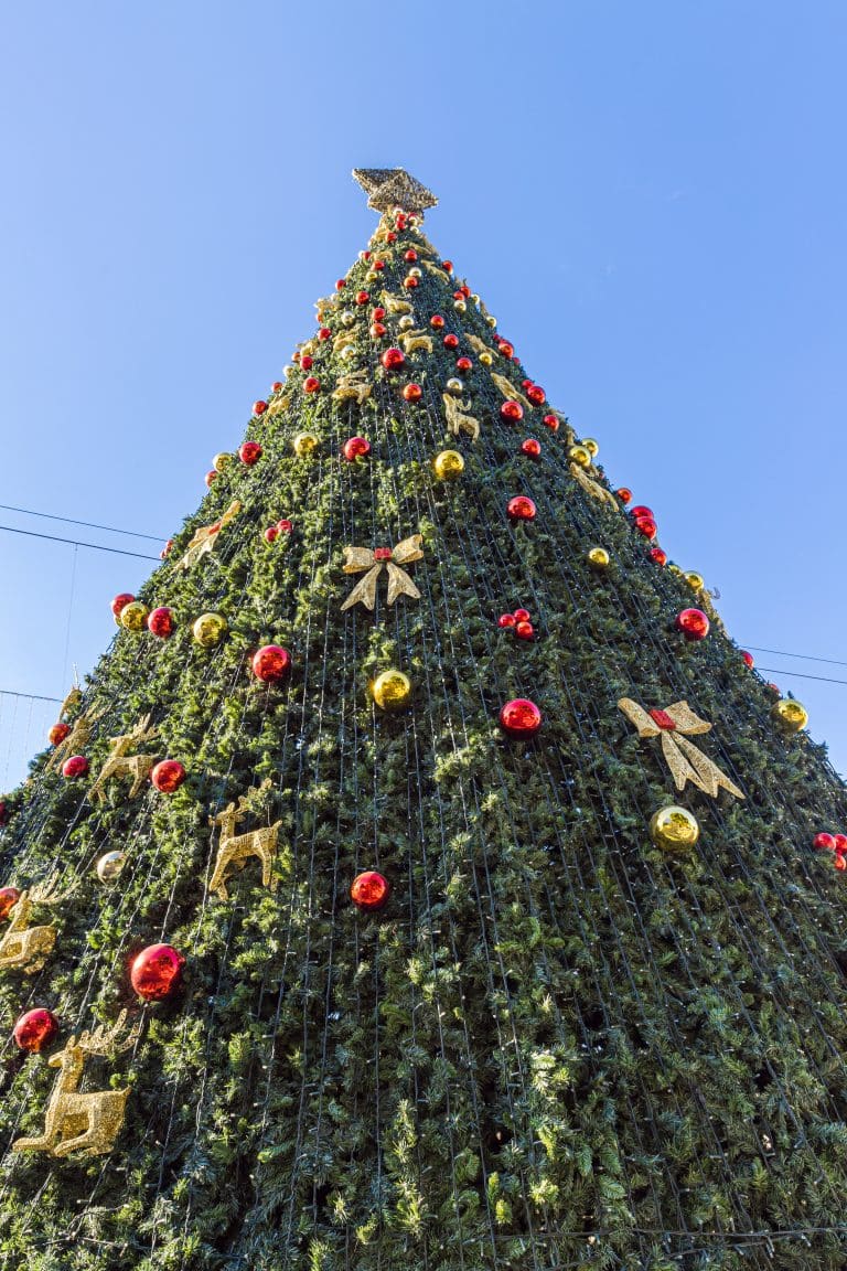 Christmas Tree in Manger Square, Bethlehem, Palestine