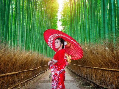 Arashiyama Bamboo Grove, Kyoto, Japan